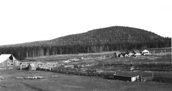 Bridge Creek Ranch outbuildings,
                  1930s.