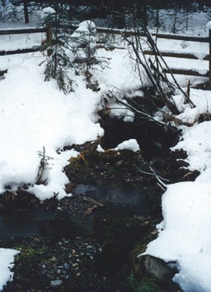 Livestock Waterer