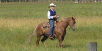 Don on horseback