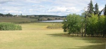 Pastures