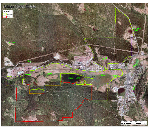 orthophoto
