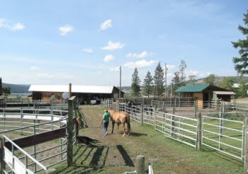 Pens