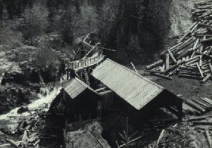 Sawmill