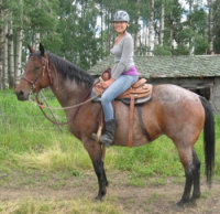 Horse